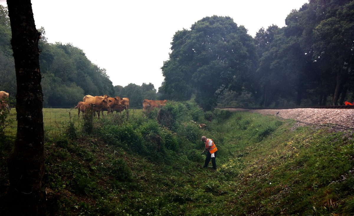 Country Railway tweet media