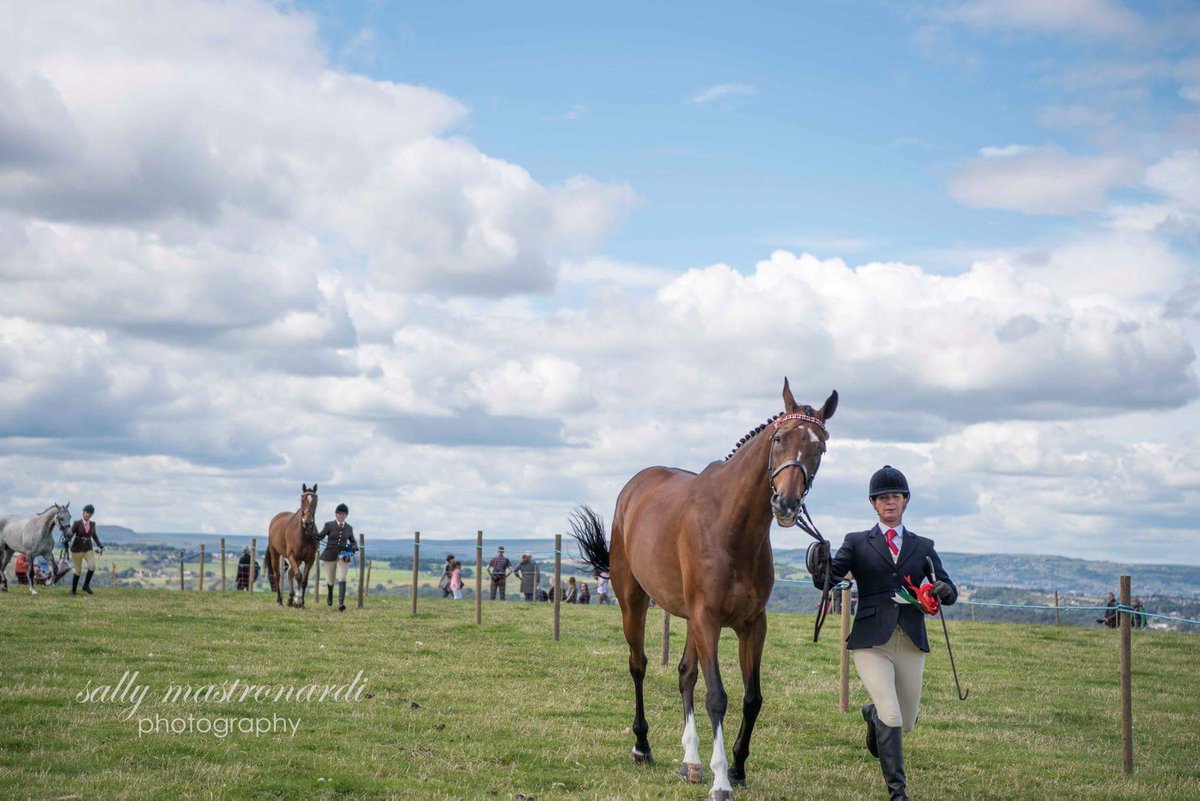 #WexMondays my very first #equine submission from #emleyshow <a href="/Emley_Show/">Emley Show; Entertaining Emley since 1893</a> #emley