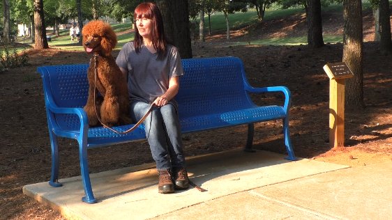 SitUpNListen's tweet image. Where can you talk about venison stew, hair cuts, and dogs?
youtube.com/watch?v=eLmVo2…

#newtowndogpark #Atlanta #poodles #dogtraining #puppy