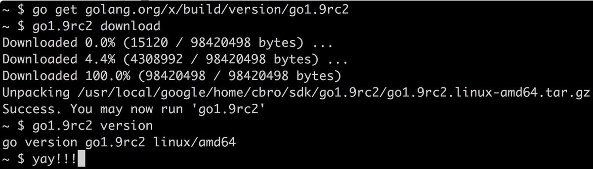 golang's tweet image. Go 1.9 RC2 is released!

Run it in dev. Run it in prod. File bugs.

Announcement:
groups.google.com/forum/#!topic/…

#golang