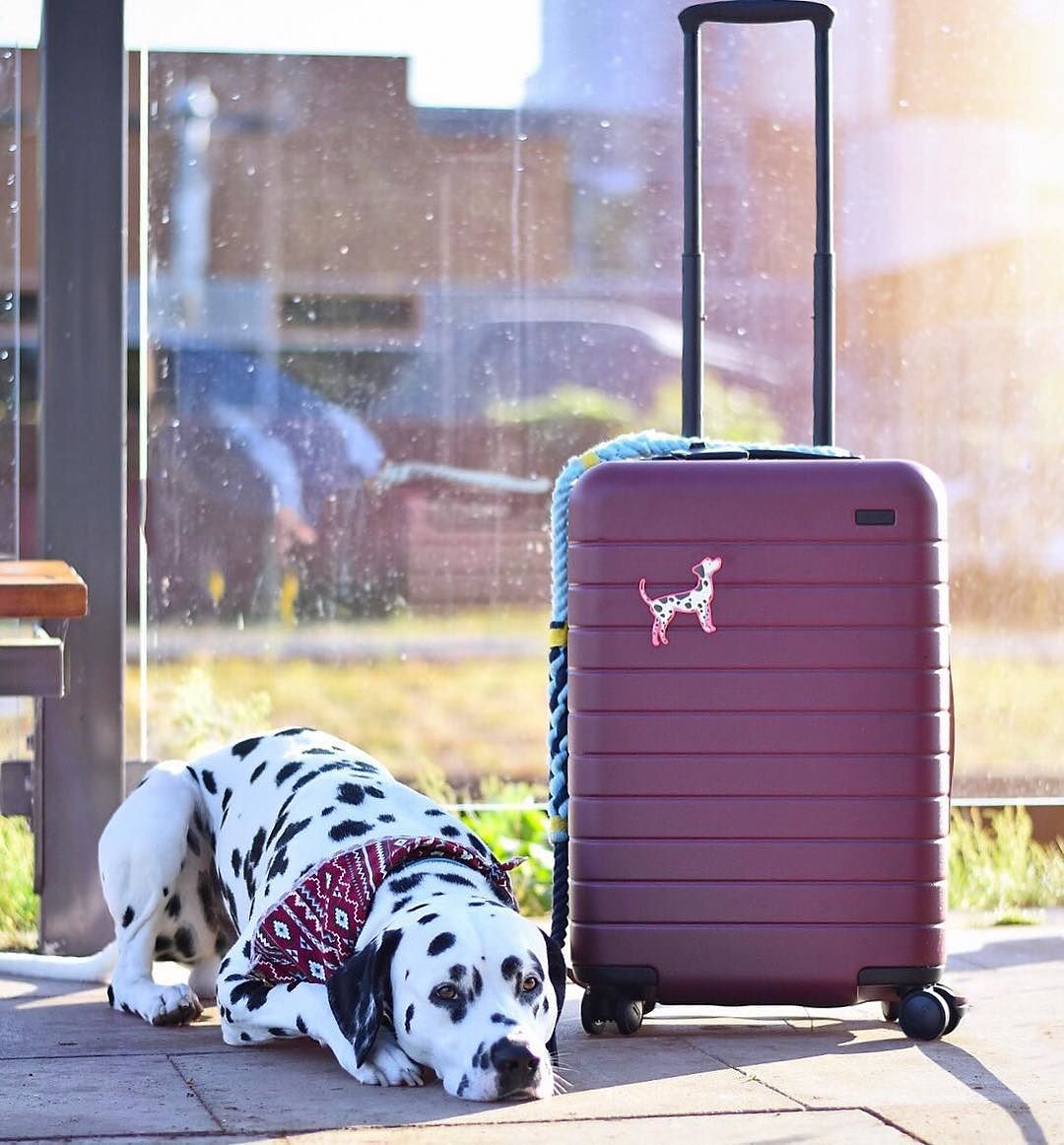 away luggage stickers