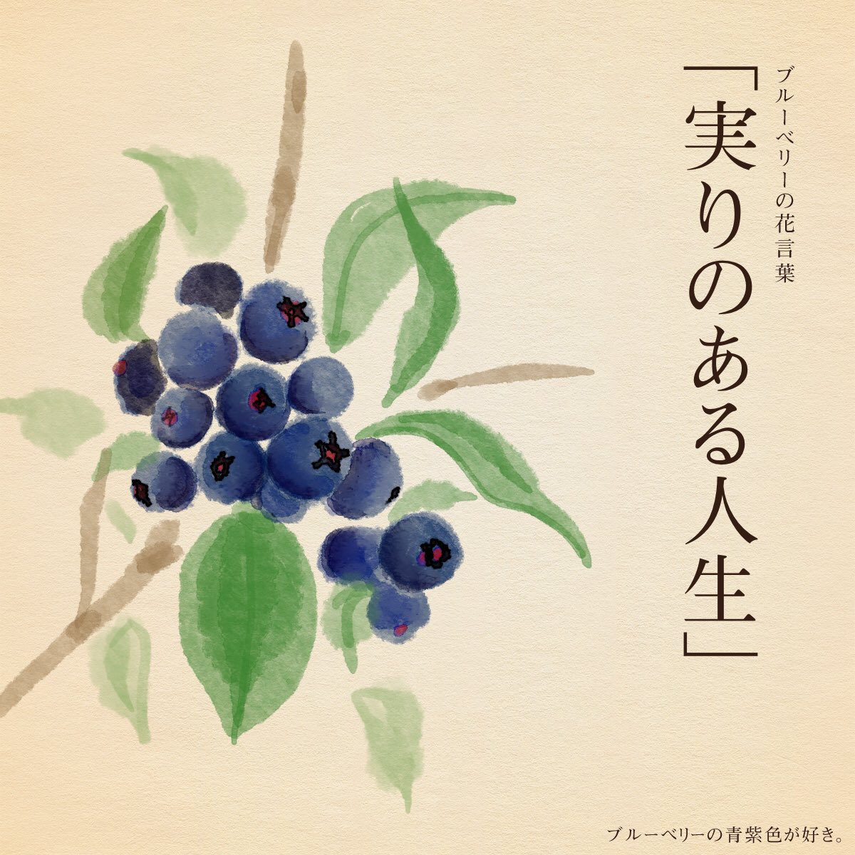 Twitter 上的 はな言葉 葉菜桜花子 予約開始 きょう8月8日は ブルーベリーの日 Blueberryのbbがに似ていることと ブルベリーの収穫時期に当たることから制定 ブルーベリーの花言葉は 実りのある人生 T Co Ewmoqu3zia Twitter