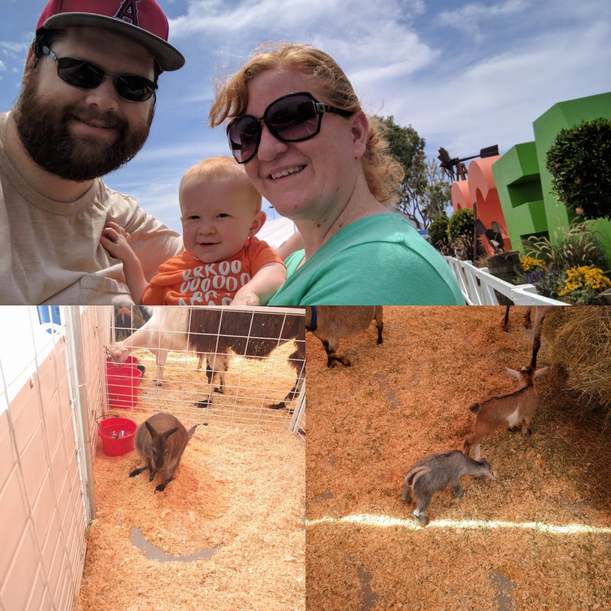 FunLittleOneOC's tweet photo. Curious what to do with your little one at the #OCFAIR? Check out some tips here: https://t.co/H0nXv7HZFj
#orangecounty #familyevents https://t.co/PLdPqy5AuT