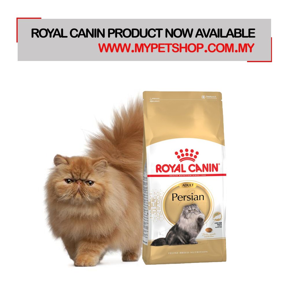 royal canin persian kitten 4kg