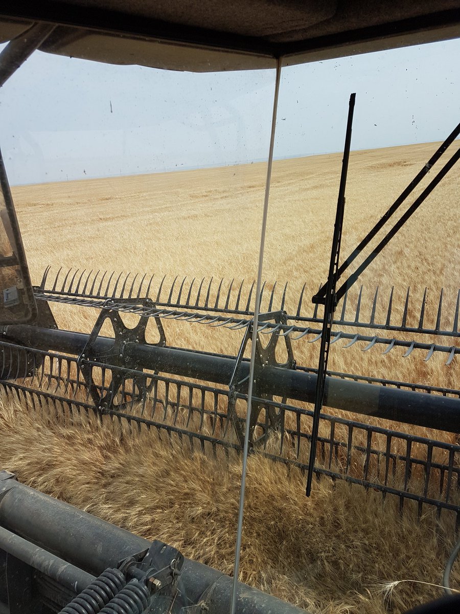 twistedironfarm's tweet photo. When you're not exactly sure where the neighbors barley ends, and your burned up durum begins #hereish https://t.co/8xdPk6AGQL