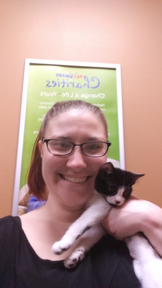 laditz89's tweet photo. This is Imogen, sweet little kitty in need of a forever home at #HumaneSocietyWashington #adoptmeplease @NewLeashUSA #gishwhes2017 #teamFDP https://t.co/p1PcCoSVp6