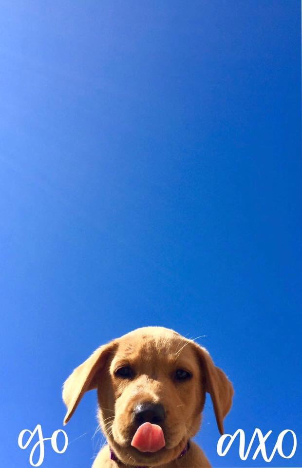 Open for a surprise!