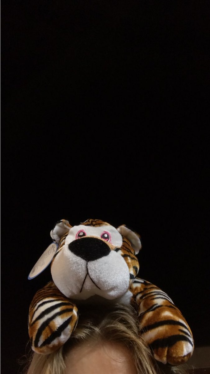 allesbye's tweet photo. happy me, happy jordan, but mostly happy me 🐯✨ https://t.co/OxmPmAjJST