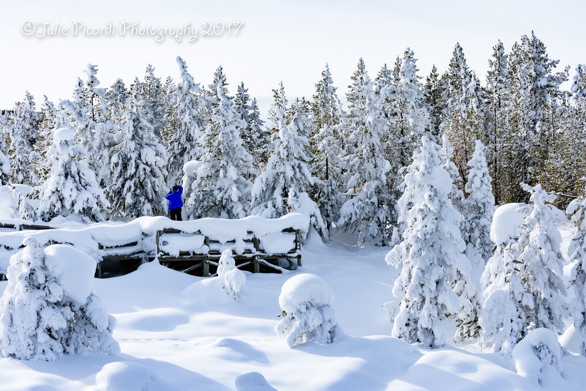 Refreshing in the midst of a hot summer. #snowphotography #exploreyellowstone #vagabondgal #travelwyoming #travelmontana #bluejacket