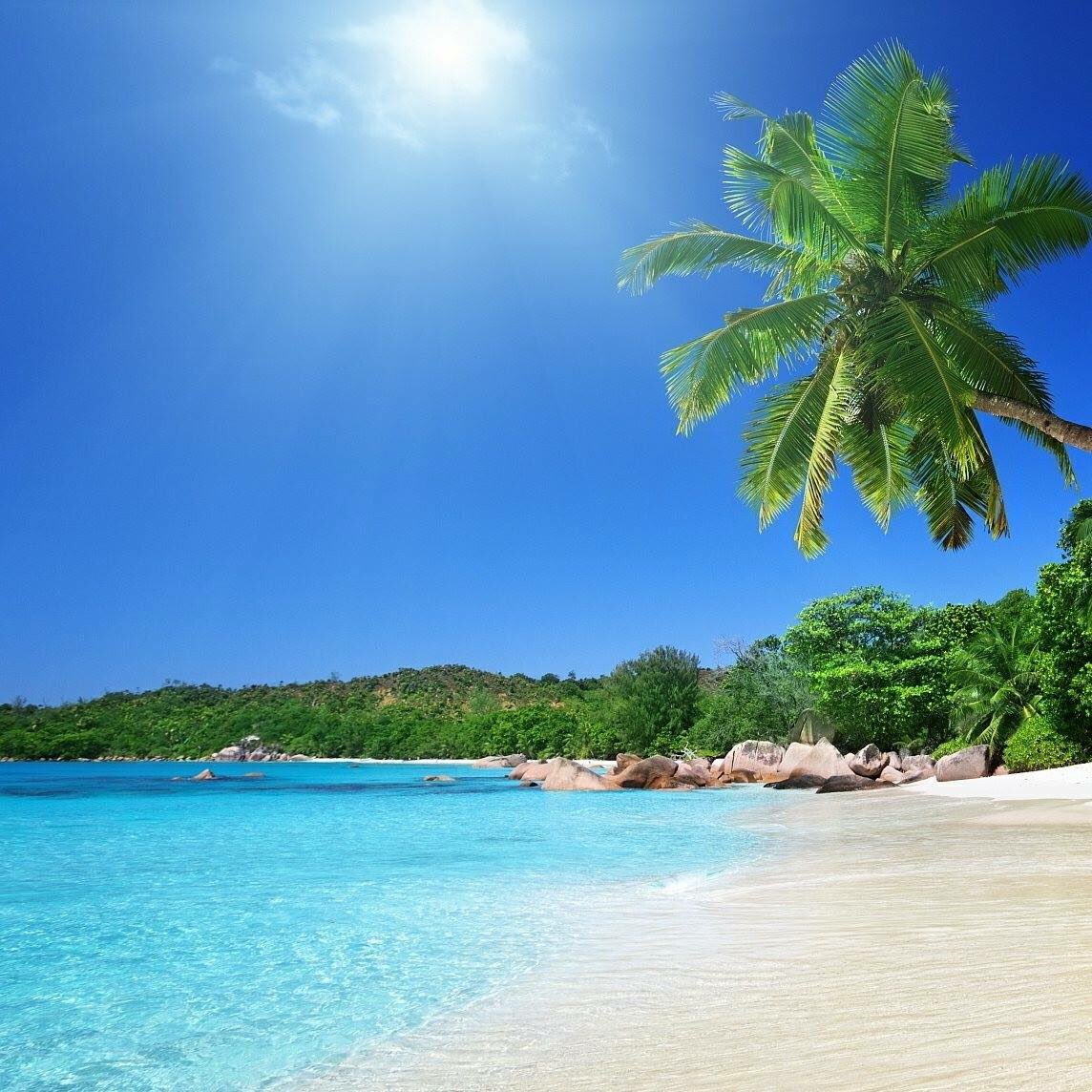 Only a handful of tickets remaining for our first #Caribbean party by the river! 200 people enjoying great music watersedgenewark.co.uk/caribbean