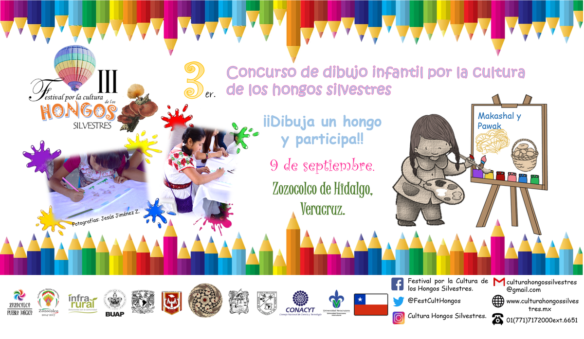 FestCultHongos's tweet photo. Hola, les compartimos los pósteres de diferentes concursos que se llevarán acabo en el III Festival por la Cultura de los Hongos Silvestres. https://t.co/4LJwlXq7hi