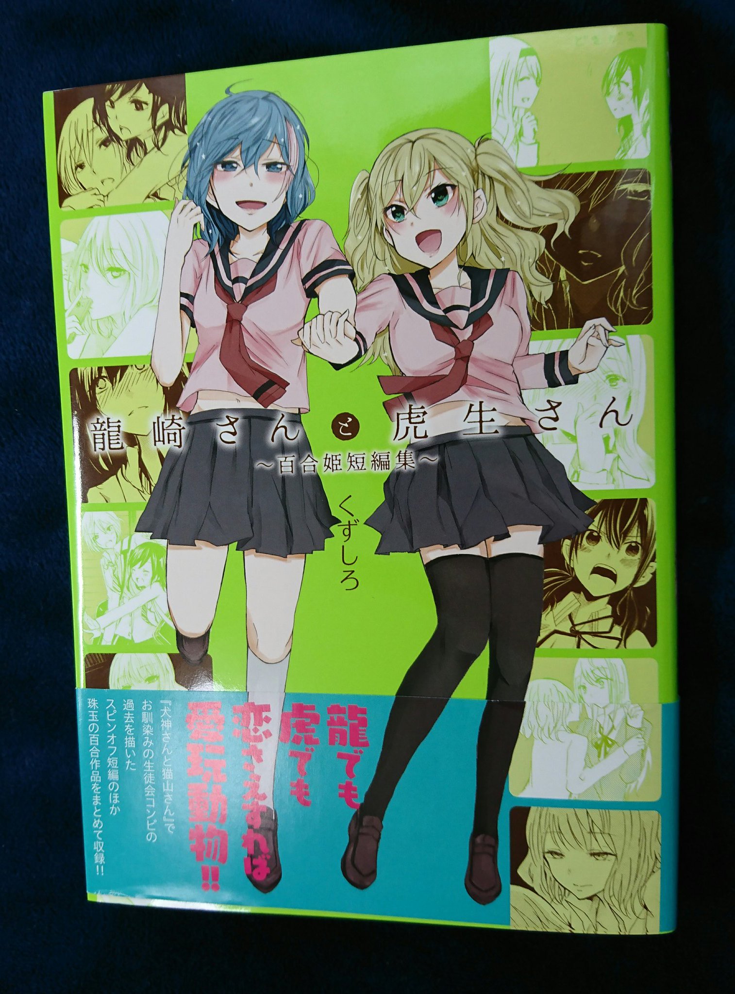 やっしー 百合漫画紹介 龍崎さんと虎生さん くずしろ 犬神さんと猫山さん番外編として 本編に出てくる龍崎さんと虎生 さんの出会いの話が載っています その他短編作品もあり かなり重めの内容になっていますが 個人の感想です とてもいい