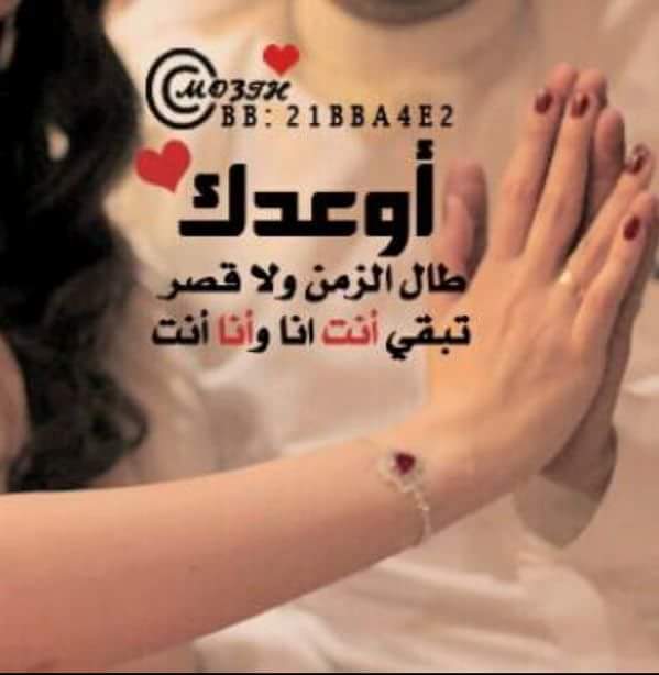 فاطمة الحوسني (@nzf1ydwqhtxqnqs) on Twitter photo 
