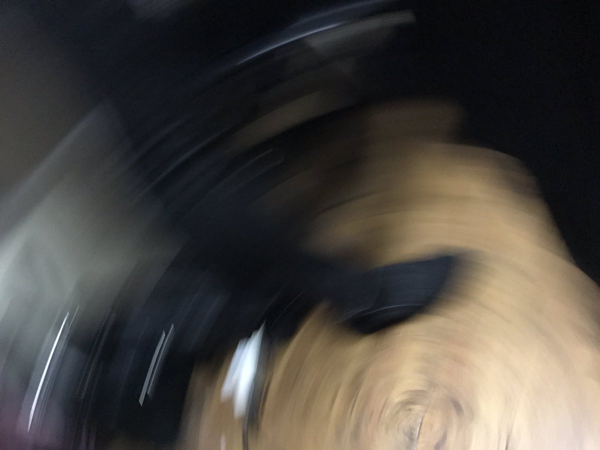 写真のくせがすごいんじゃ