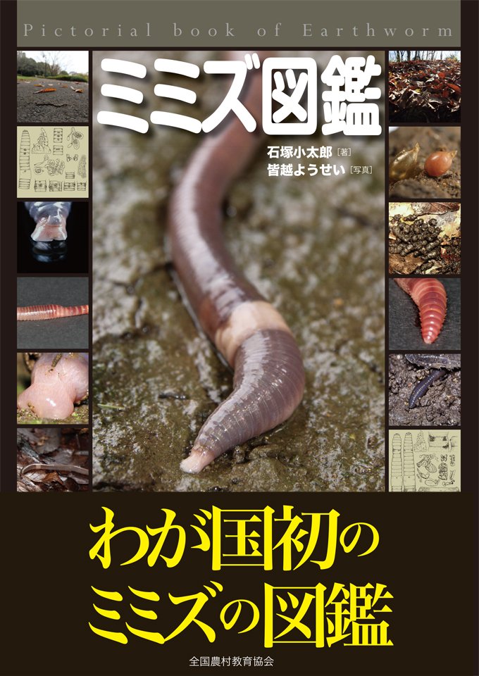 ミミズ図鑑」生態写真、解剖図を使ってフトミミズ科を中心に掲載。名前