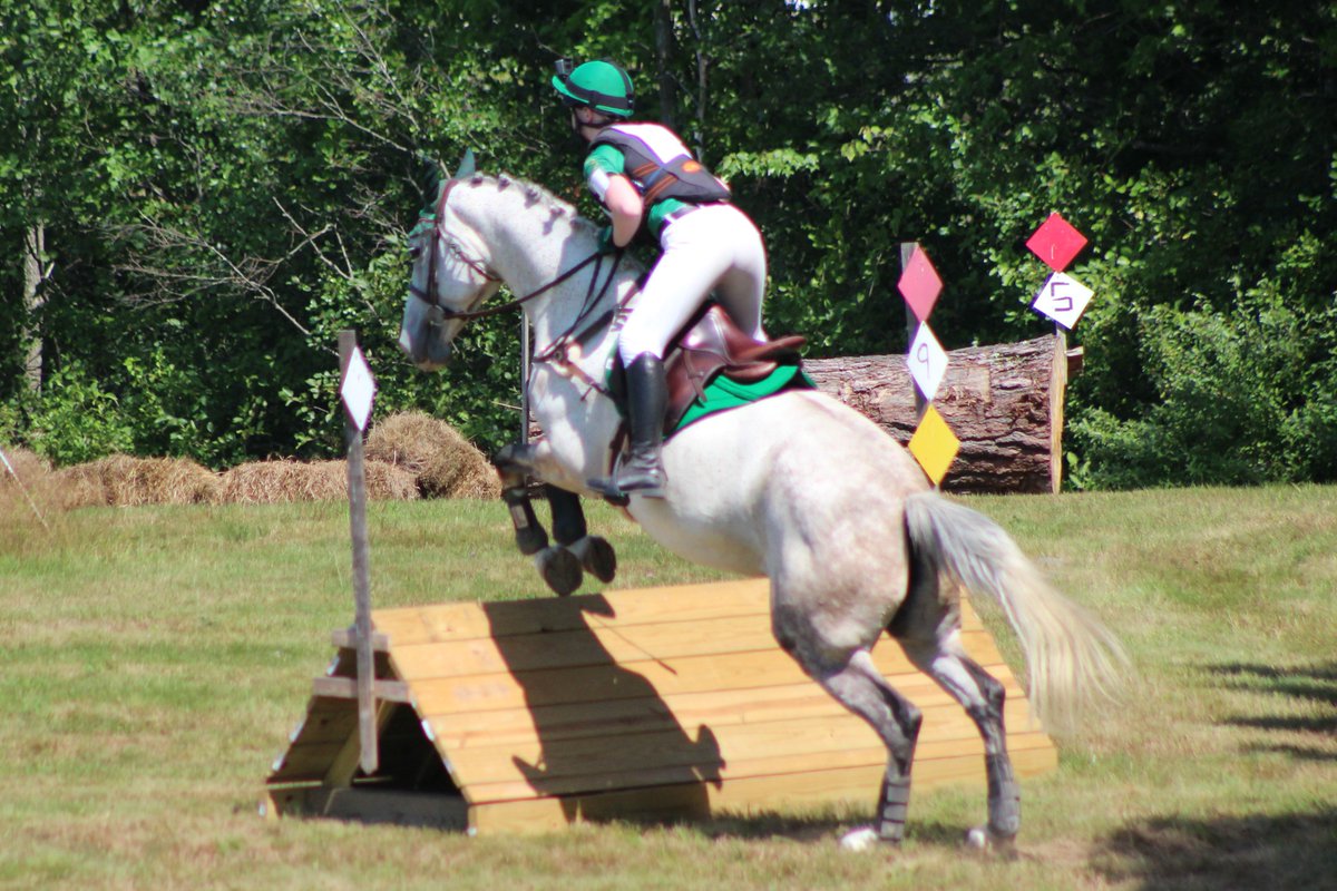 ODulchaointigh's tweet photo. Kiera & Neala test out their new @ECOGOLD CoolFit saddle pad in the August heat. #TeamNeala #Eventing https://t.co/pWfh77dGIU