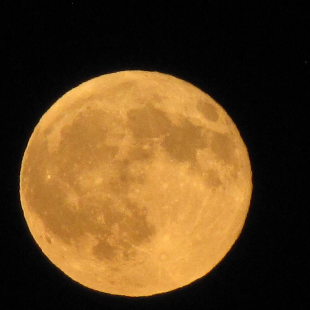 NomaditAgain's tweet photo. The moon is full and gorgeous!  First time I was able to get a clear capture! #fullmoon #fulltimerving #circleviewranch #nomaditagain https://t.co/b7wBMTydzK