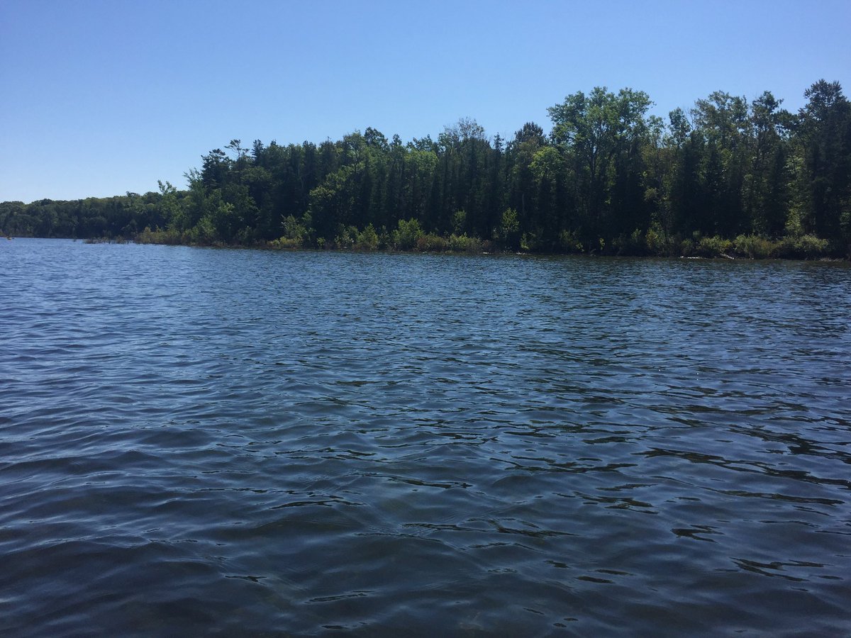 vintique_resale's tweet photo. Is there anything better than a morning paddle boat at Peninsula State Park? #doorcountysummer #welovethisplace #paddleboating #nicoletbeach https://t.co/iNIzW0NJJn