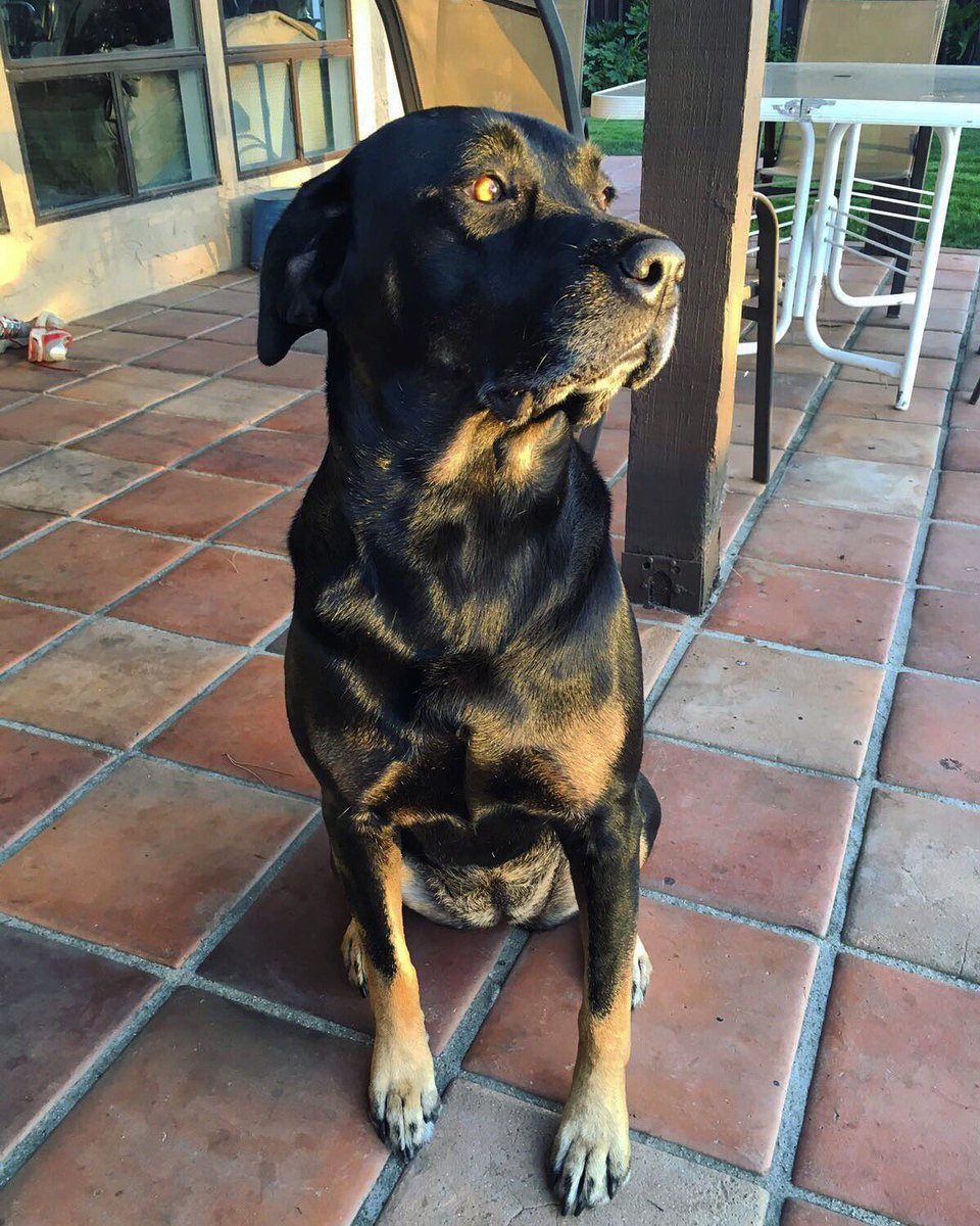 I get to see dis pretty face tomorrow 😍