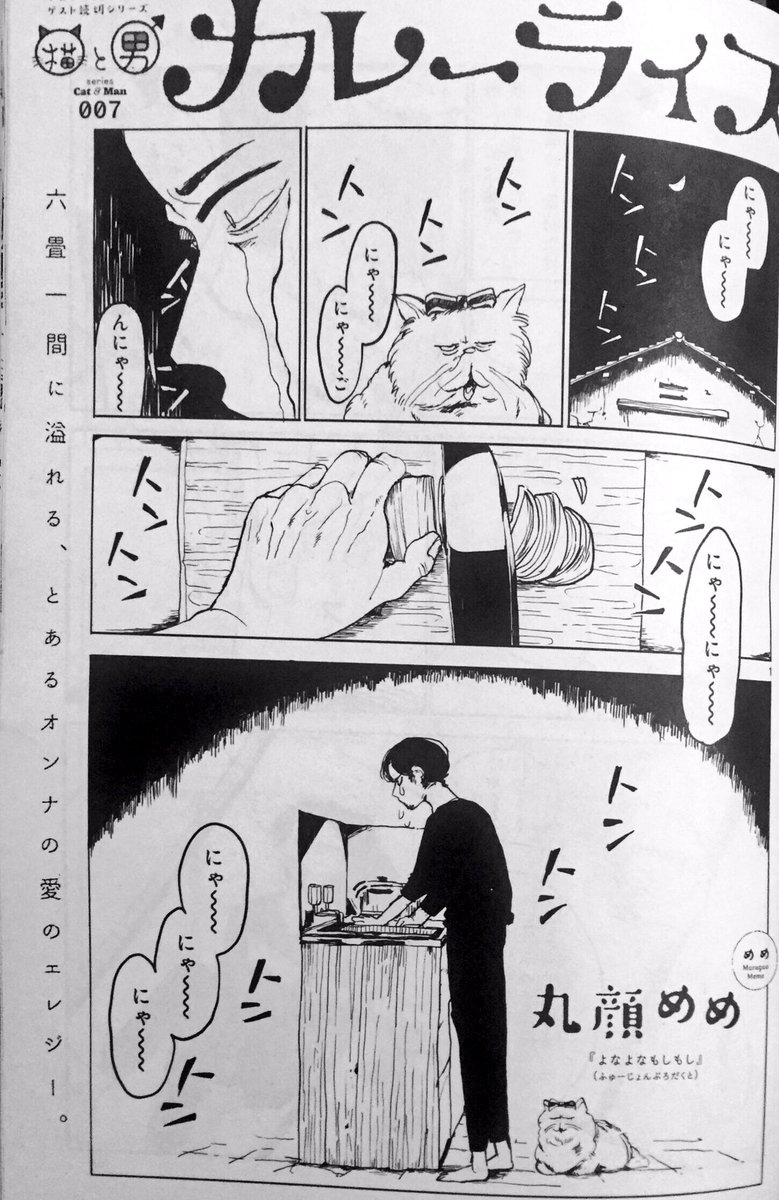 昨日発売ヒバナ9月号(最終号)に、「猫と男」シリーズにて「カレーライス」という男に捨てられた男とその猫"ヘドウィグ"の短編8pを掲載していただいています。最終号…!もしよかったらお読みいただけると嬉しいです。よろしくお願いいたします?‍♂️?タイトルや名前ロゴが最高に可愛いです! 