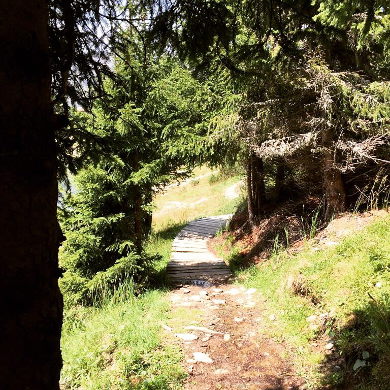 VGallinella's tweet photo. #holidays #love #family #friends #mountains #relax #happiness #nofilter @LerarioEnrico https://t.co/IygId2TuUn