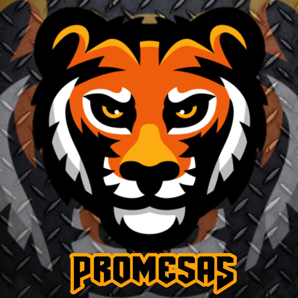 TORNEO DTCR tweet media