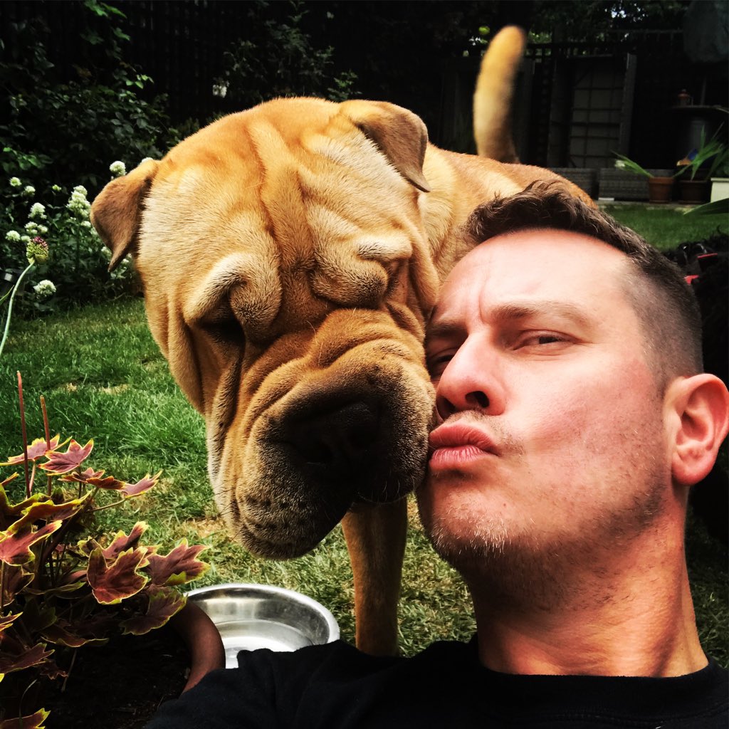 urDog ltd tweet media