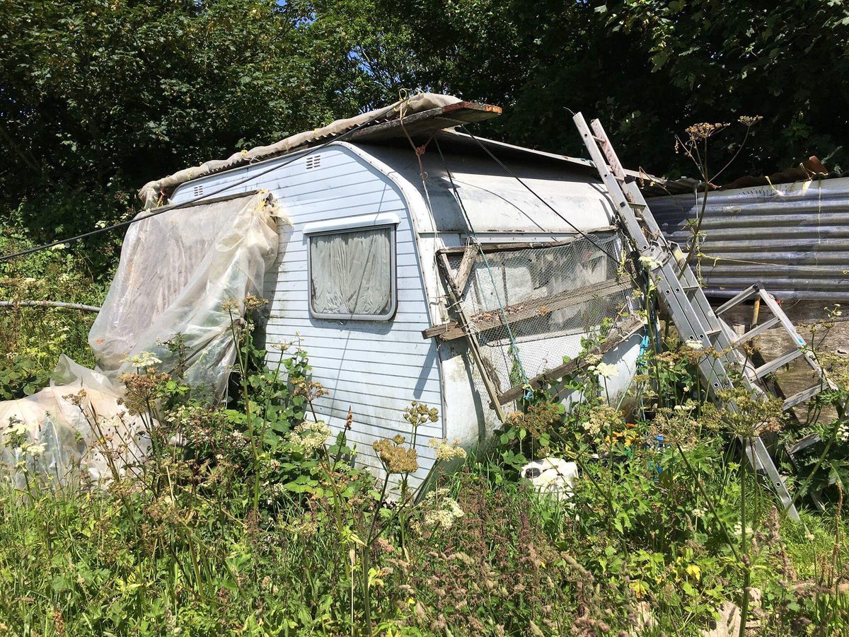 Squalid &amp; rat infested. On <a href="/BBCJersey/">BBC Jersey</a>: A man(89) lived in a field in St John for decades without the authorities knowing, but the Parish did