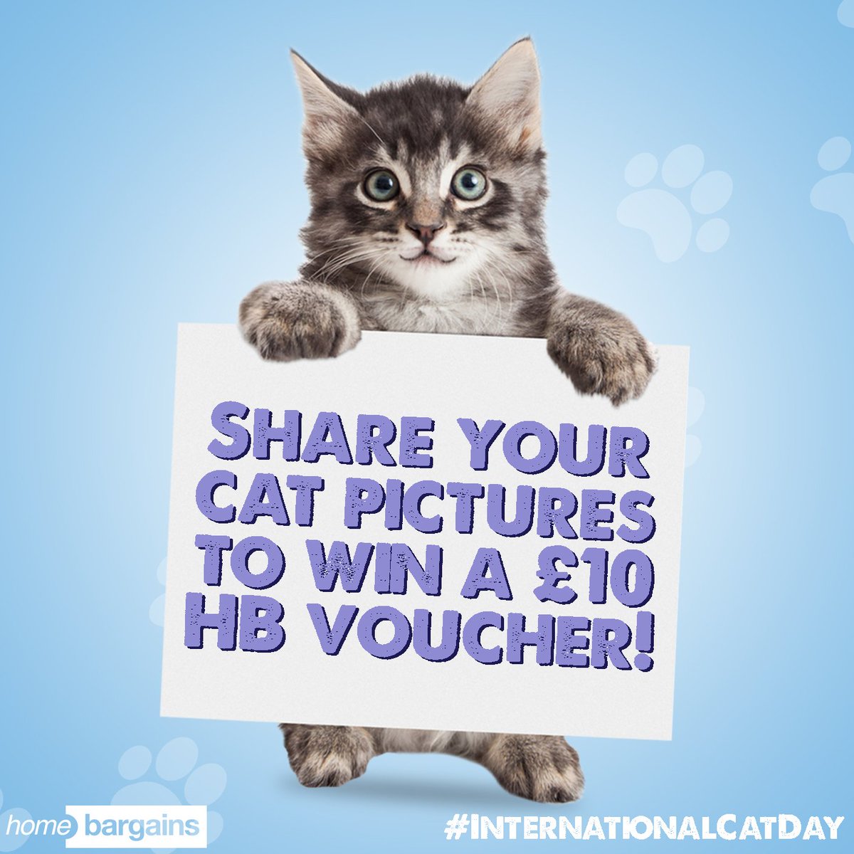 Home Bargains on Twitter "It's InternationalCatDay! Share your Cat