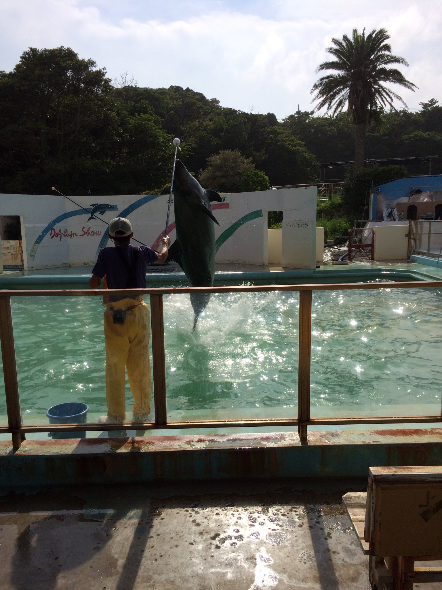 お客さんが全然いない千葉の水族館 イルカショーが超特等席だったw えのげ
