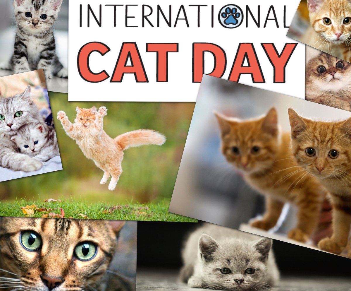 تلویزیون منوتو on Twitter: &quot