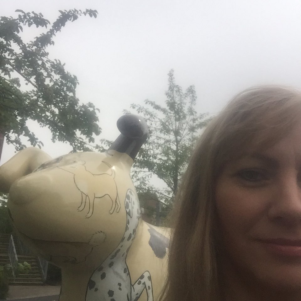 CreateIntrigue's tweet photo. Look who I've found... hatching more top secret plans for 2019 and 2021 #greatnorthsnowdogs @WildinArt @stoswaldsuk @staithscafebar https://t.co/ieIC4LAWTx