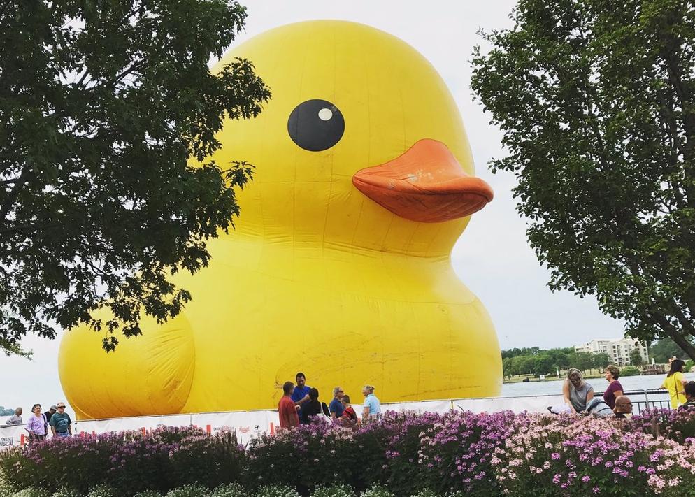 AM800CKLW's tweet photo. Newspoll: Was it worth the government spending $121K to rent a large rubber duck that stopped in A'burg? Vote here:  https://t.co/Ow9JPDLIdX https://t.co/LmTX26eN2o