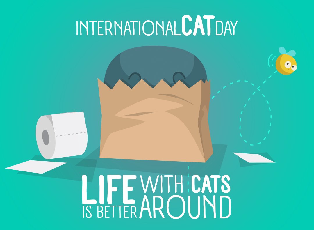 Catfishbox tweet media