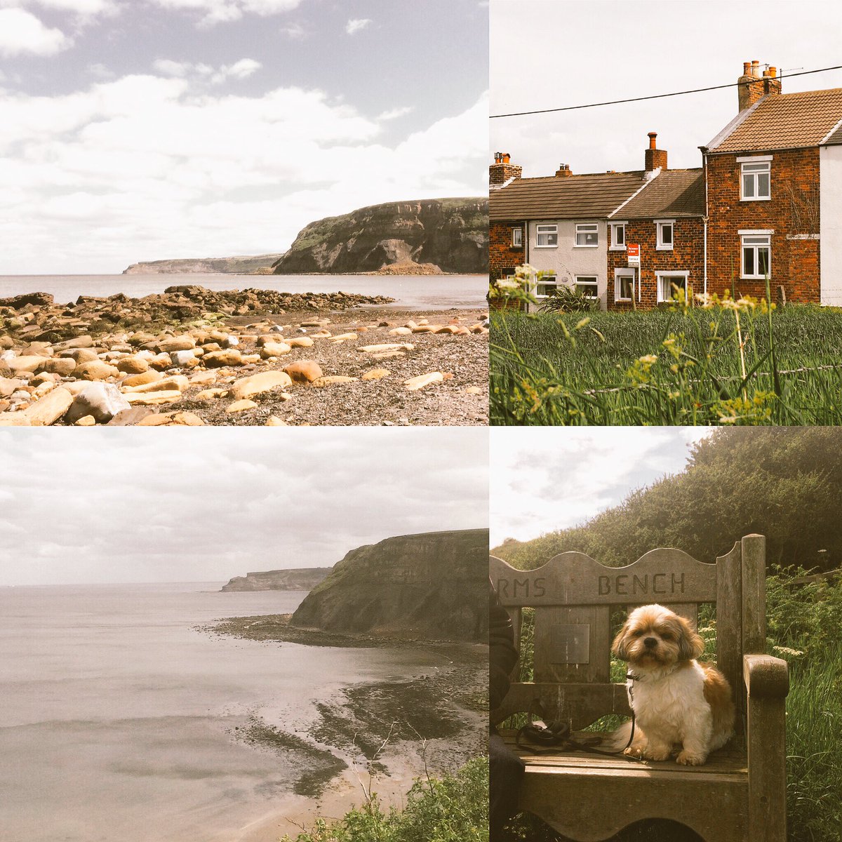 Dreams do come true 🙏🏼 signing Friday 😊#seasidecottage #dreams #yorkshire #coast #portmulgrave #beachlife #excited #dogslife 🏡🌊🎏⛵️