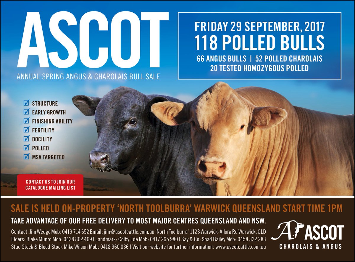 Our annual on property sale is the 29th of September at 'North Toolburra' in Warwick Queensland at 1pm. #AscotCattle
ascotcattle.com.au/2017-spring-sa…