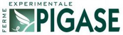 Lyonbiopole's tweet photo. #memberLBP : #Pigase, accredited CRO specialized in preclinical studies in production animals. https://t.co/264DMAUuZK https://t.co/muYBqeEikQ