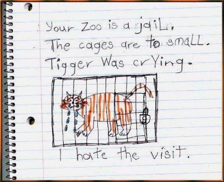 30millionsdamis's tweet photo. "Votre zoo est une prison. Les cages sont petites. Le tigre pleurait. J'ai détesté la visite." La vérité sort de la bouche des enfants... https://t.co/ZboYkR9O0t