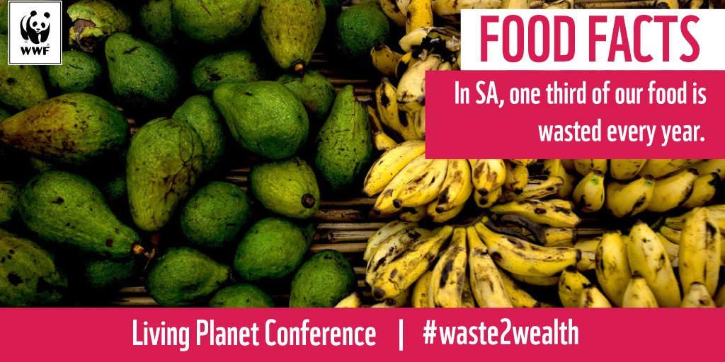 How much do you know about the destination of your food waste? Here’s some facts to snack on #waste2wealth  🌍🐼🥘