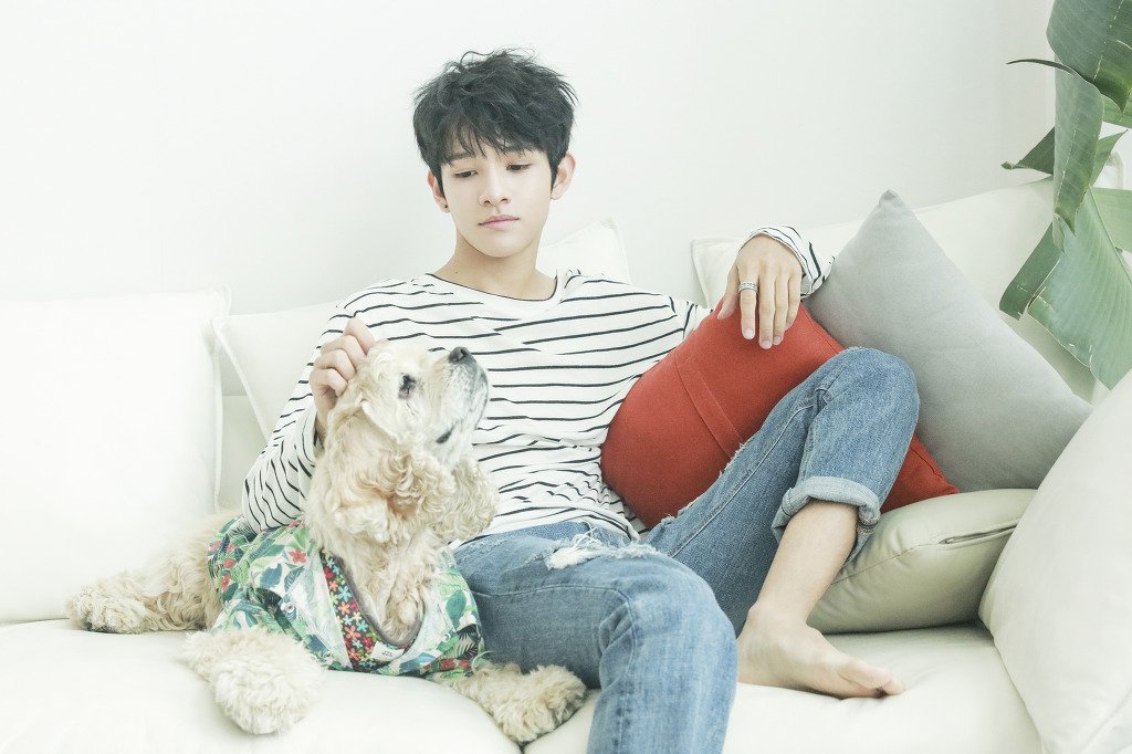 Похожее изображение