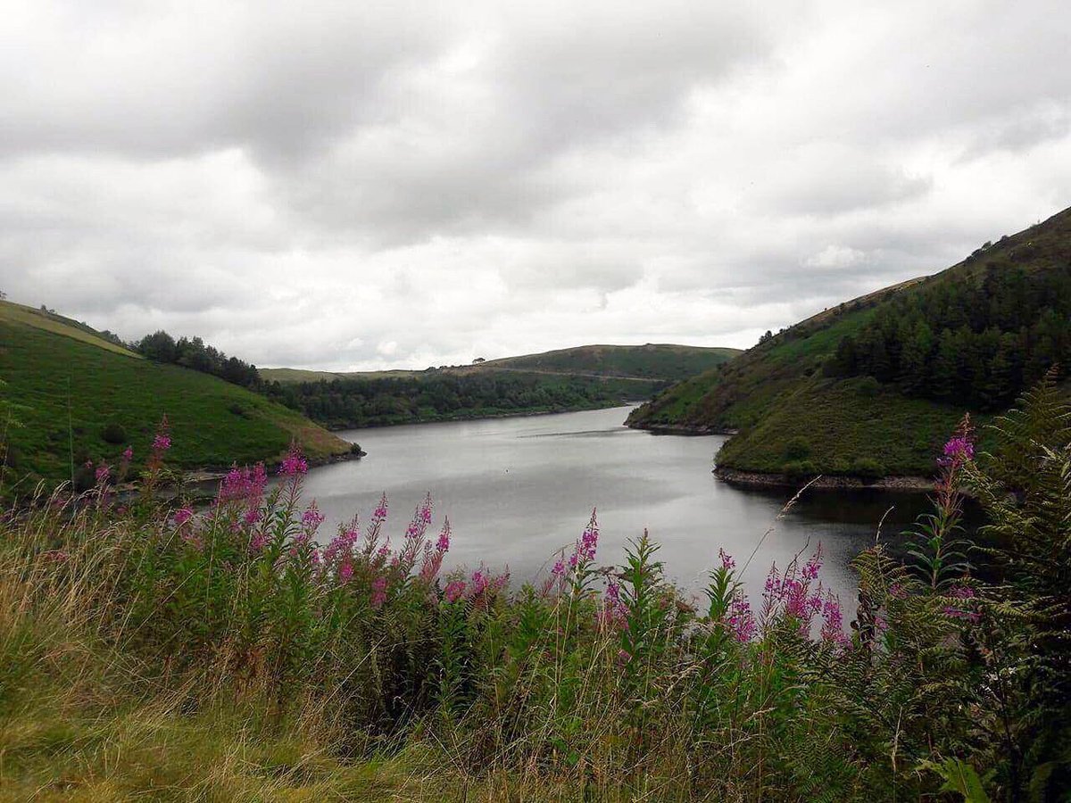 tempesttonib's tweet photo. I'm such a tourist any time I leave Birmingham snaps of the "views" are taken #countryside #Wales #outdoorphotography #naturephotography ⛰🐲🌲 https://t.co/2Ps5NNfQBE