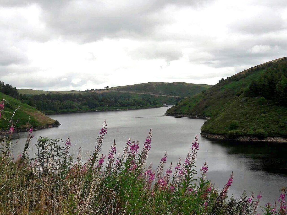 tempesttonib's tweet photo. I'm such a tourist any time I leave Birmingham snaps of the "views" are taken #countryside #Wales #outdoorphotography #naturephotography ⛰🐲🌲 https://t.co/2Ps5NNfQBE