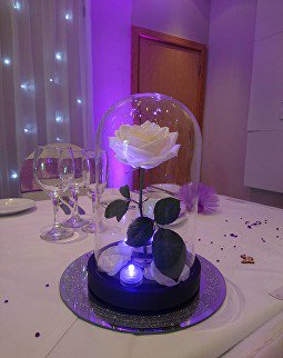 Wedding Centrepieces everyone will love...
#Newbury #Oxford #Basingstoke #Rdguk #Berkshire #Hampshire #bridetobe