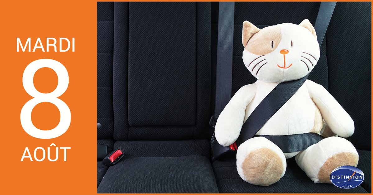 DistinxionAutos's tweet image. Aujourd'hui, c’est la journée mondiale du chat ! 🐱
Profitez de cette journée qui leur est dédiée pour prendre soin de votre félin préféré !