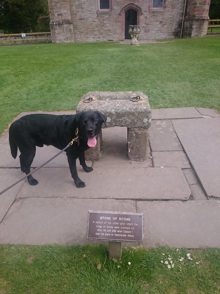 Zac out and about with the Stone of Scone @SconePalace #dogsinmuseums