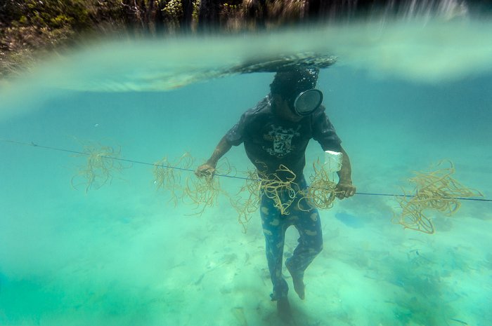 Seaweed nursery in Palaawan | TIP - #Travel in Palawan - TravelinPalawan.com | #philippines #palawan
