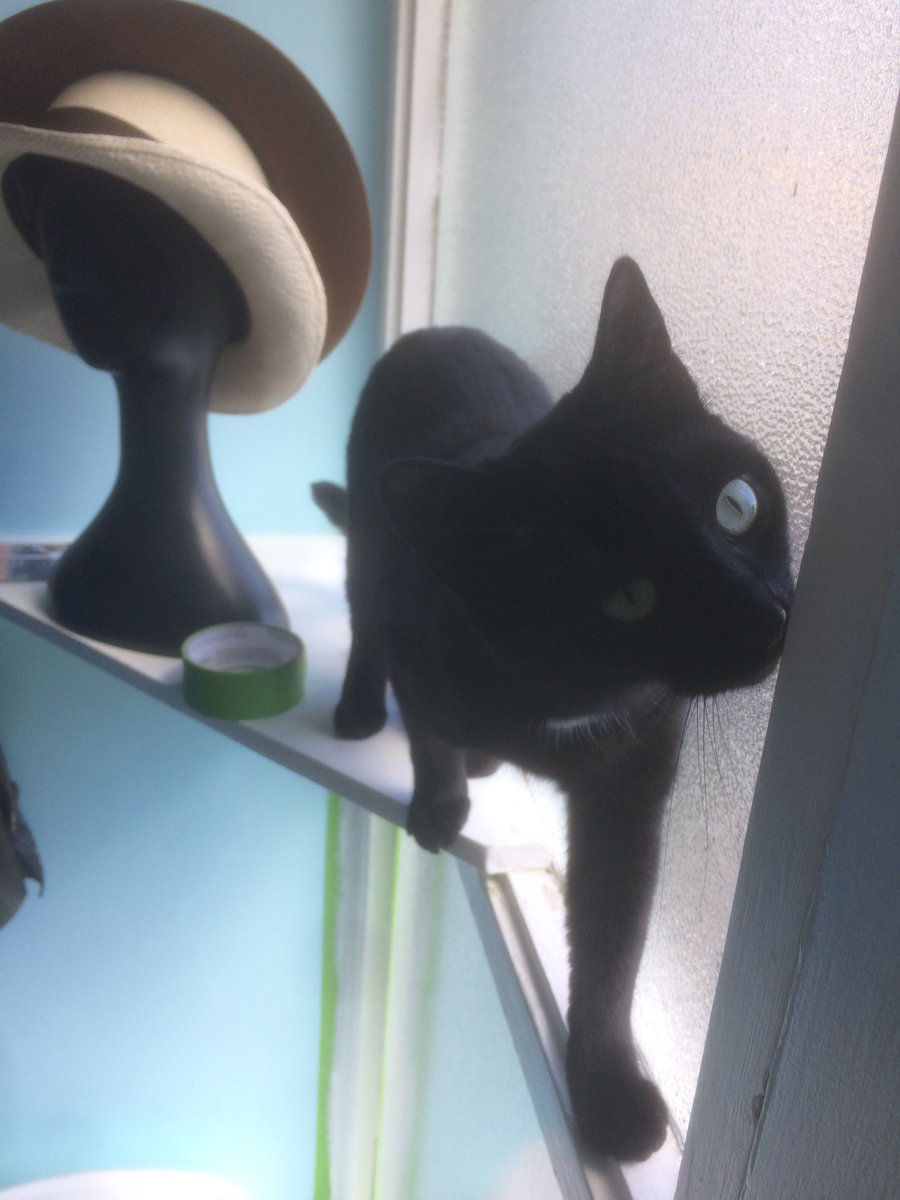 I'm one of the 12% of Londoners who is owned by cats. Lowest of any region in the U.K.! #LondonView #internationalcatday <a href="/MuseumofLondon/">MuseumofLondon</a>