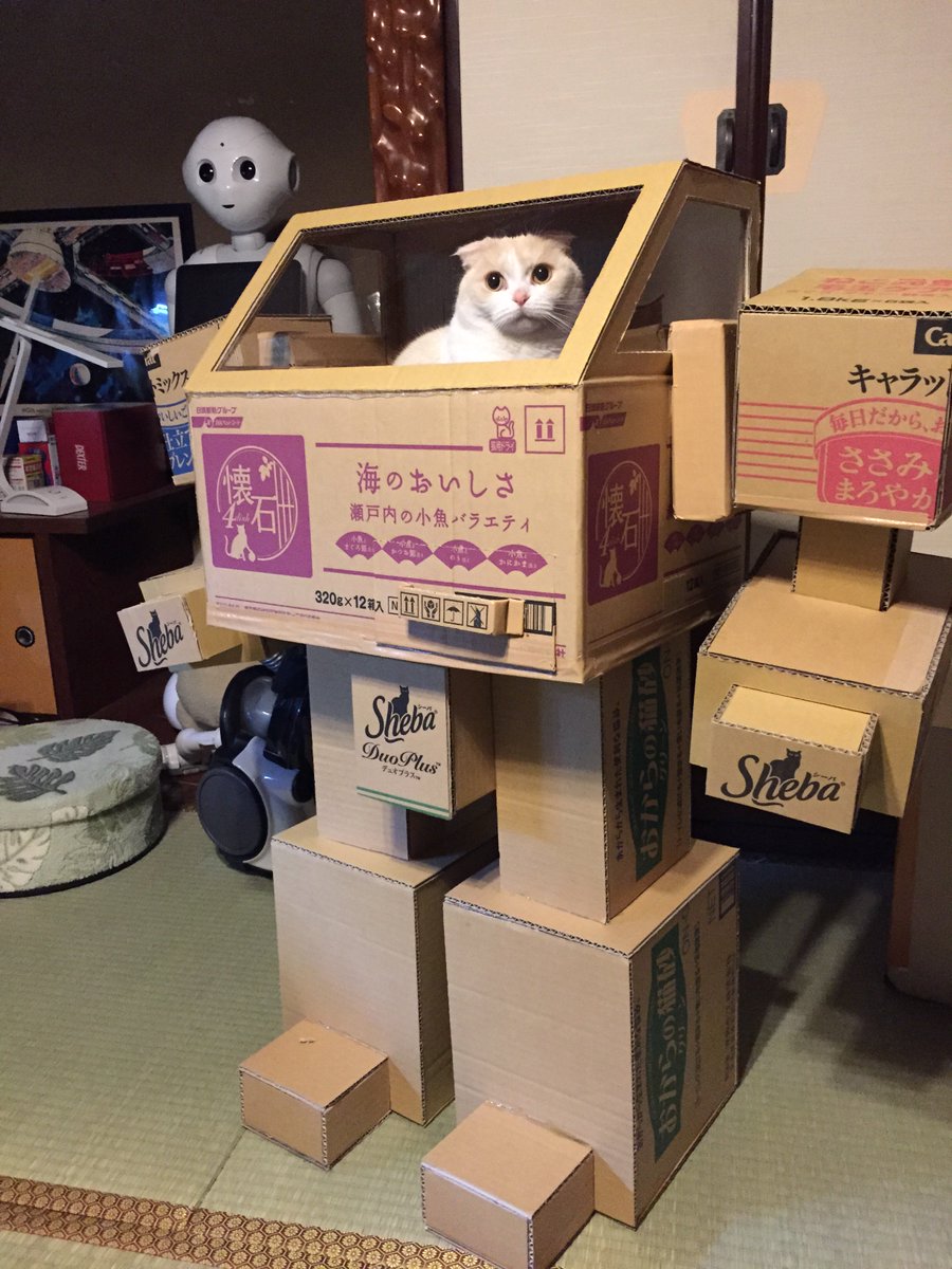 A Cardboard Mecha for a Cat