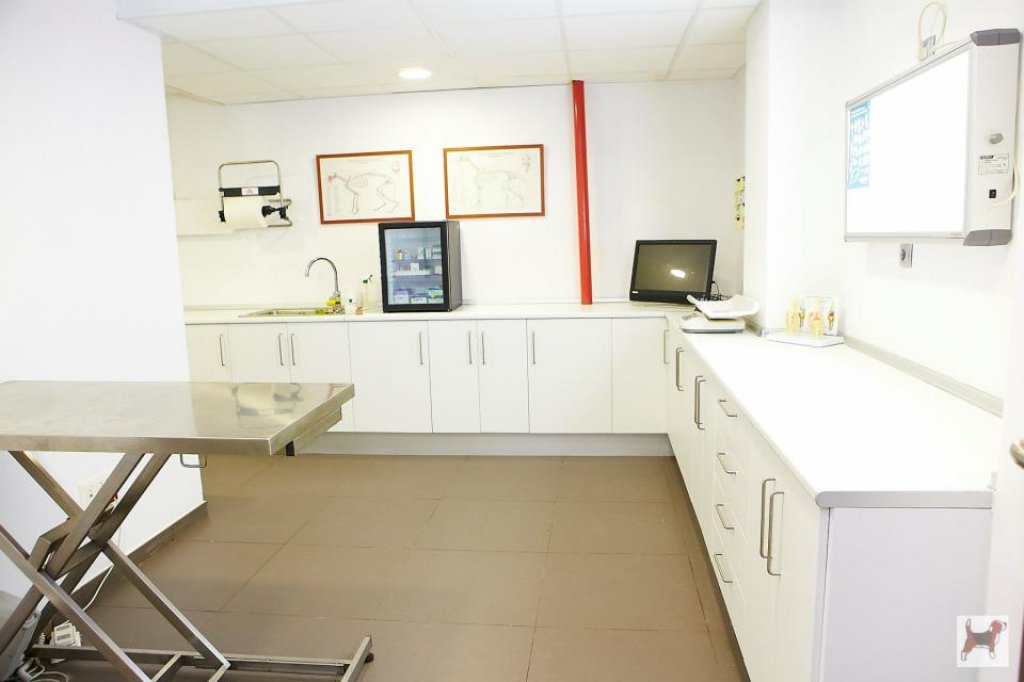 Segueix els consells del Centre Veterinari #Tarragona des de 1985 tenen cura de la teva #mascota