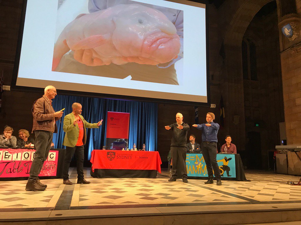 jackie_randles's tweet photo. True or false? The blob fish is a made up animal ... #squizo #ssf17 #natsciwk @Sydney_Science @SydScienceFest https://t.co/3JodXSis5b